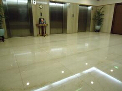 ʯĵذ