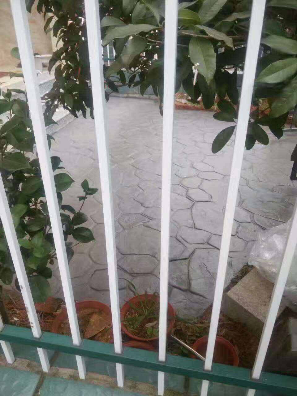 ѹ